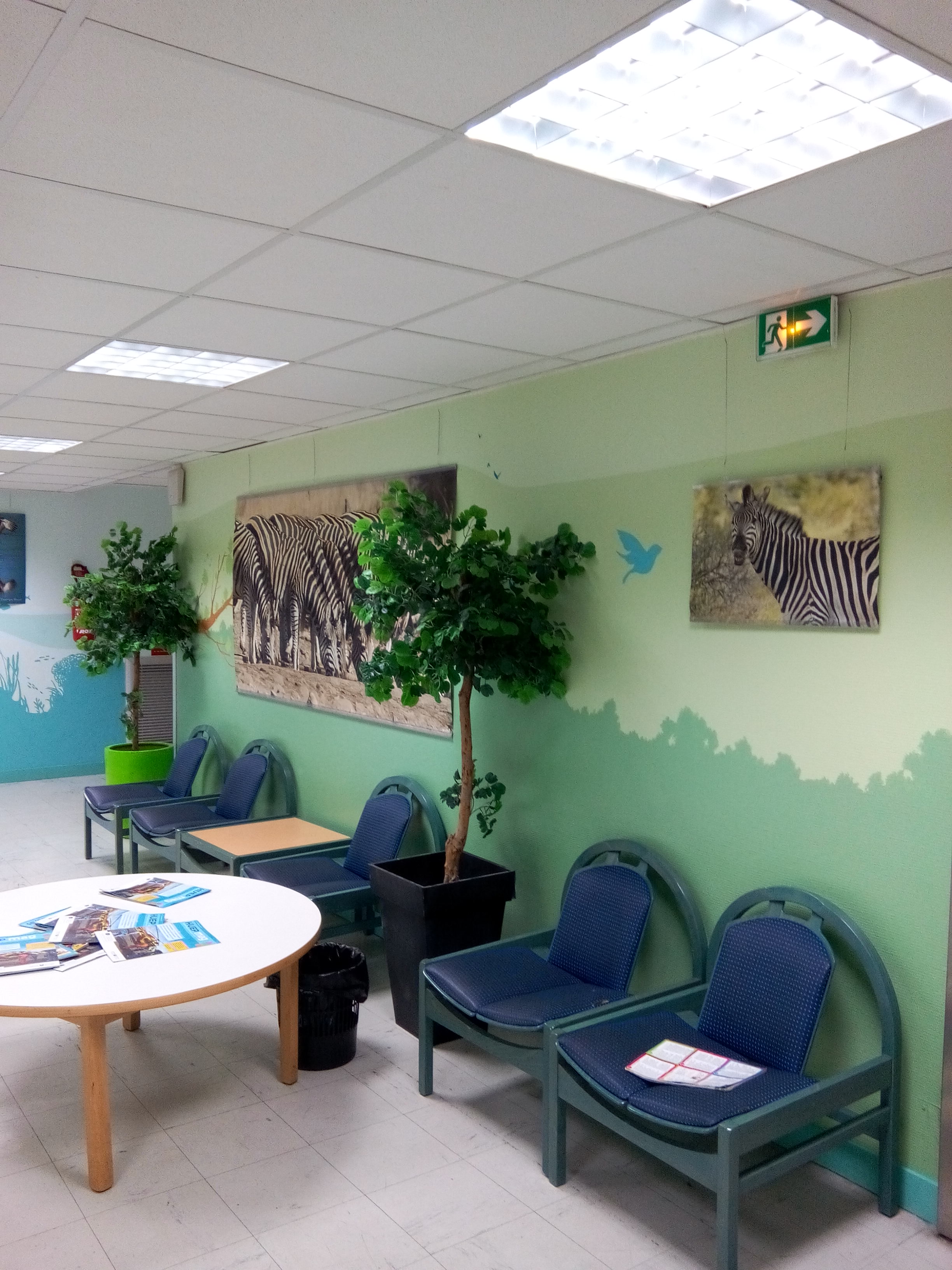 la savane à l'hôpital