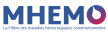 logo mhemo